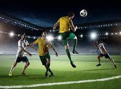 岁武切维奇,欧锦赛独揽,助却遭败北,万博体育平台,万博体育官方网站,万博体育登录入口,万博体育app下载