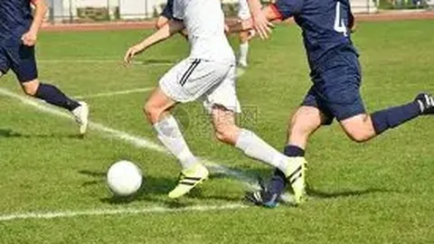 2025郑州演唱会时间规划表